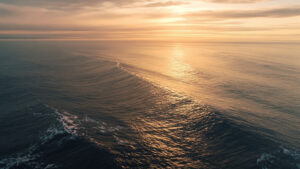 Ocean Currents and Jet Streams