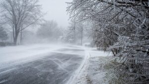 Winter road bordered by ice-coated trees with blowing snow reducing visibility in the distance.