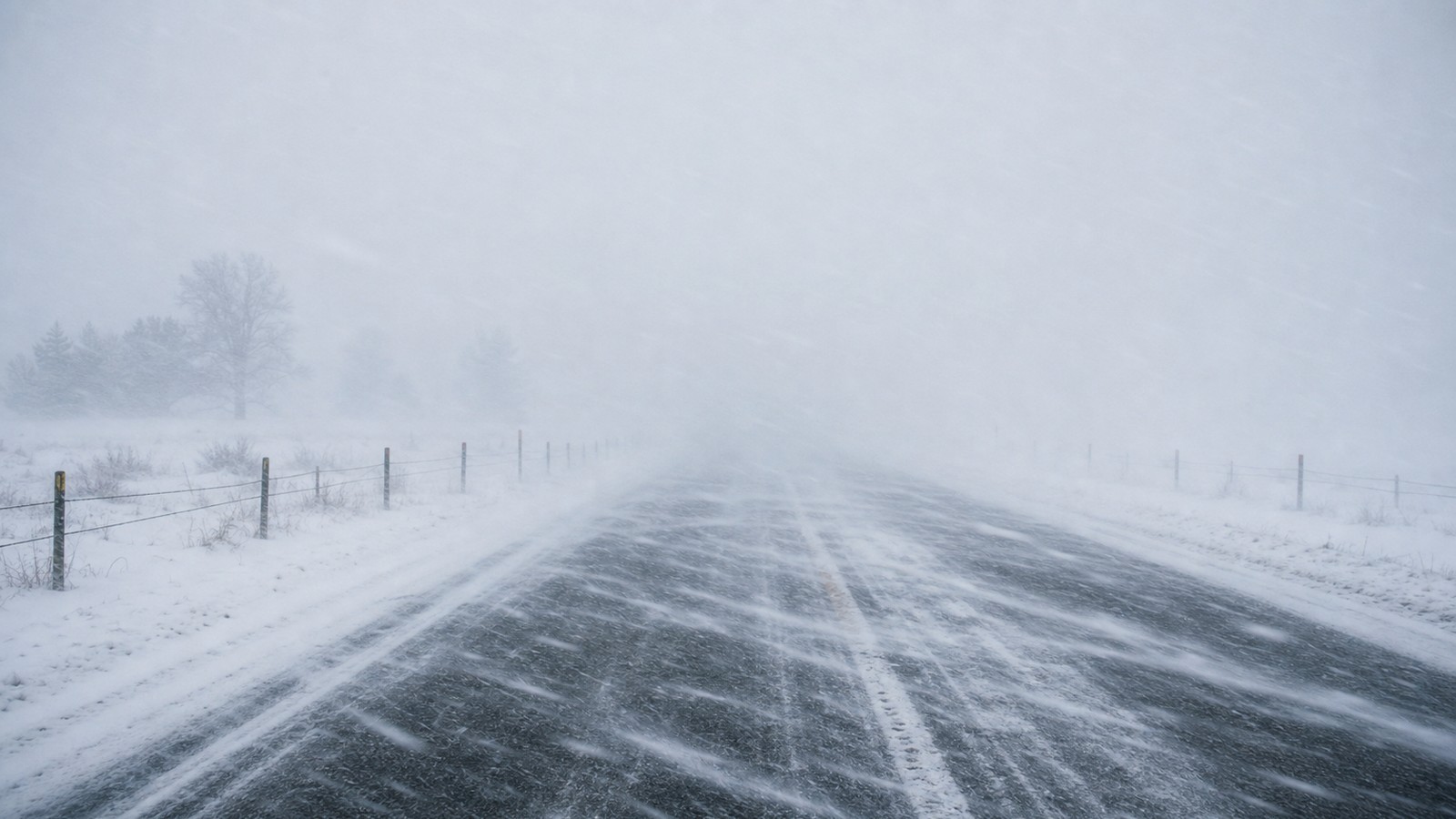Rural road disappearing into whiteout conditions during blowing snow and strong wind.